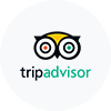 TripAdvisor Reviews